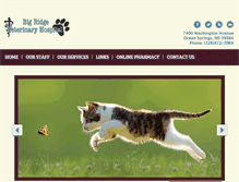 Tablet Screenshot of bigridgevet.com